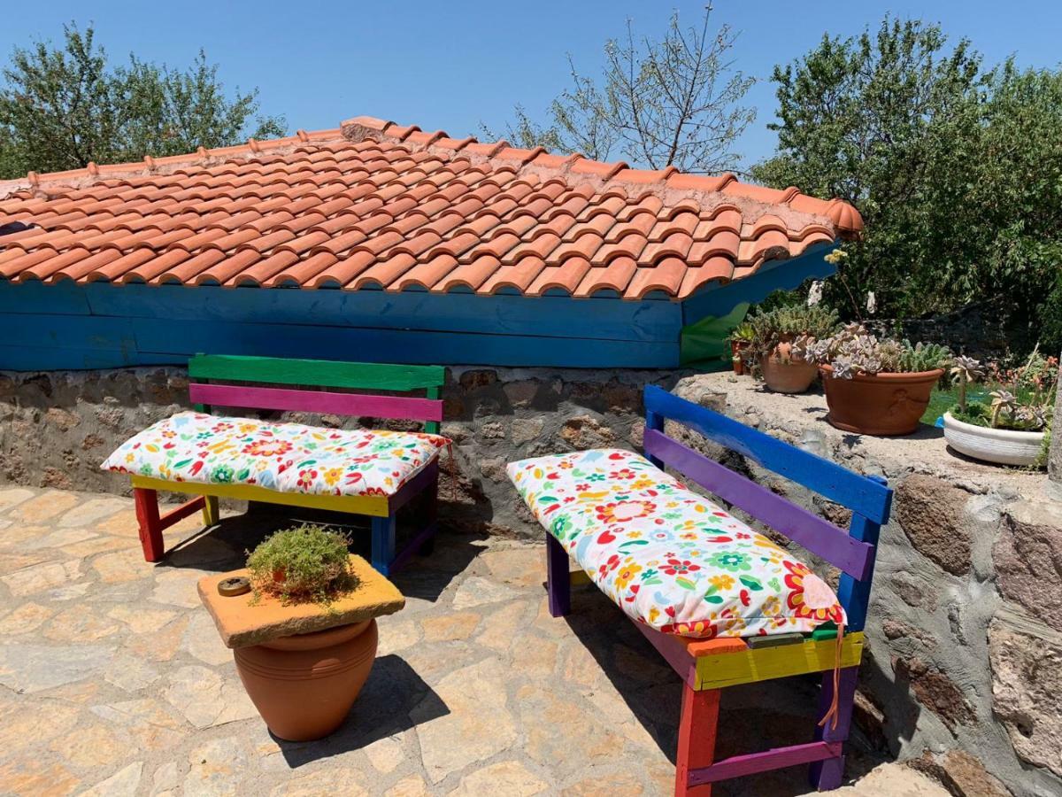 Maison d'hôtes Alterna Koey Evi à Ayvacik Extérieur photo